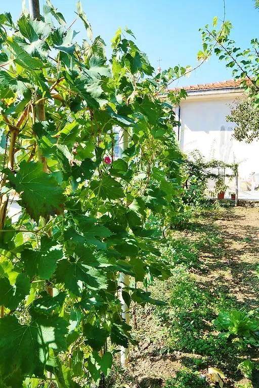 Agriturismo Costamagna Noli 0*,