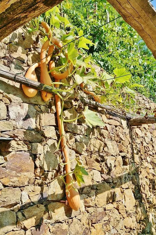 Farm stay Agriturismo Costamagna Noli
